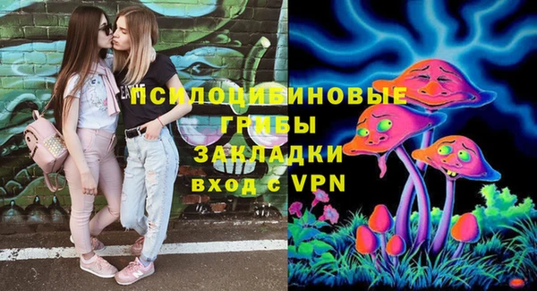 гашик Пересвет