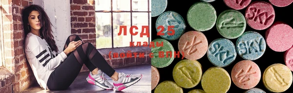 гашик Пересвет