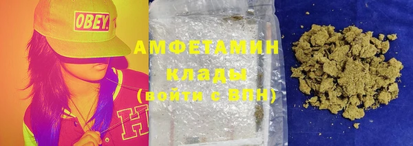 гашик Пересвет