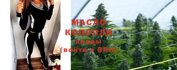 прущие грибы Гвардейск