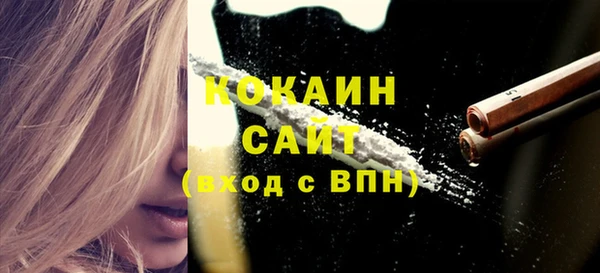 гашик Пересвет