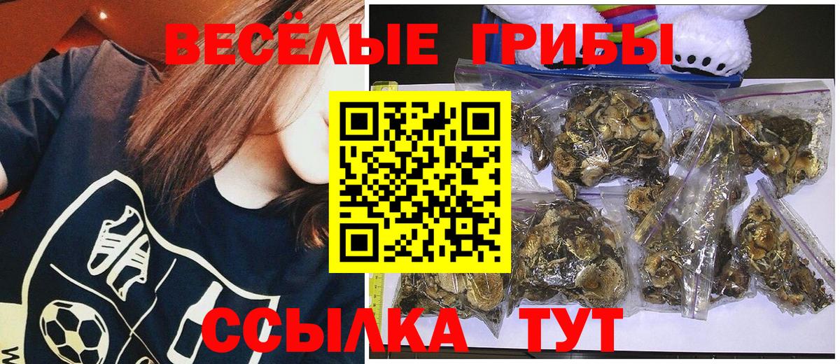 Галлюциногенные грибы Psilocybe Рязань